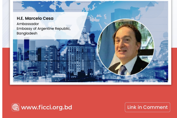 ARGENTINA'S LARGE INVESTMENT INCENTIVES REGIME