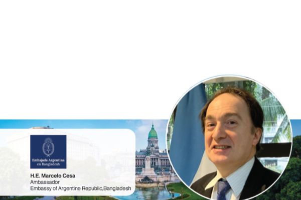 ARGENTINA'S "LARGE INVESTMENT INCENTIVES REGIME" (RIGI)